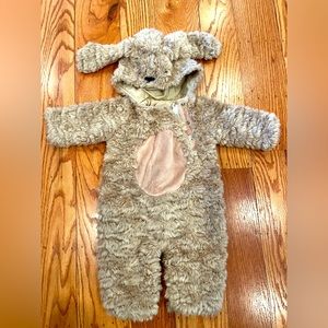 Pottery Barn Infant Costume - Puppy
